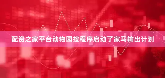 配资之家平台动物园按程序启动了家马输出计划